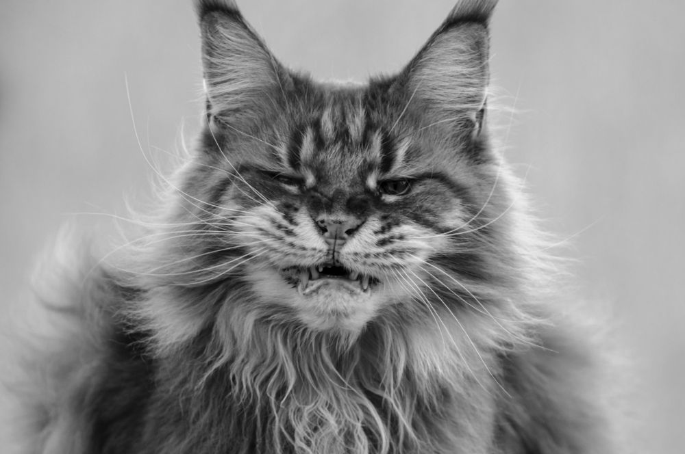 Photograph by Владимир Янчук