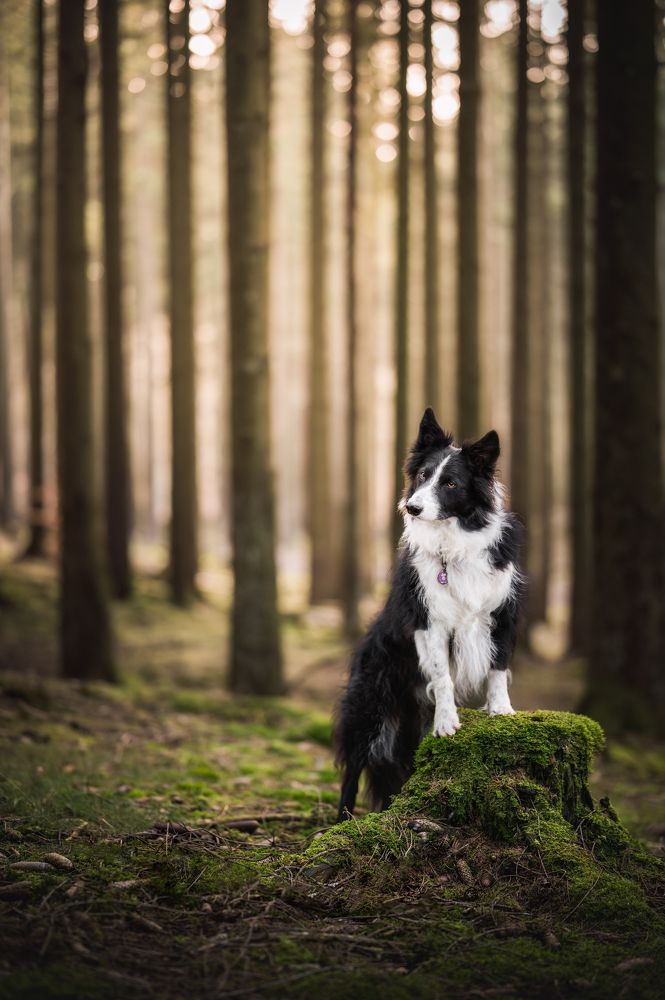 Photograph by Thymen van Schaik