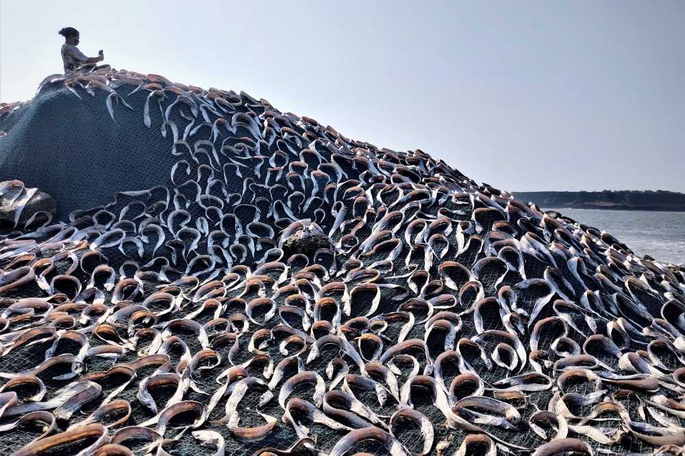 Photograph by GURUDAS BATE