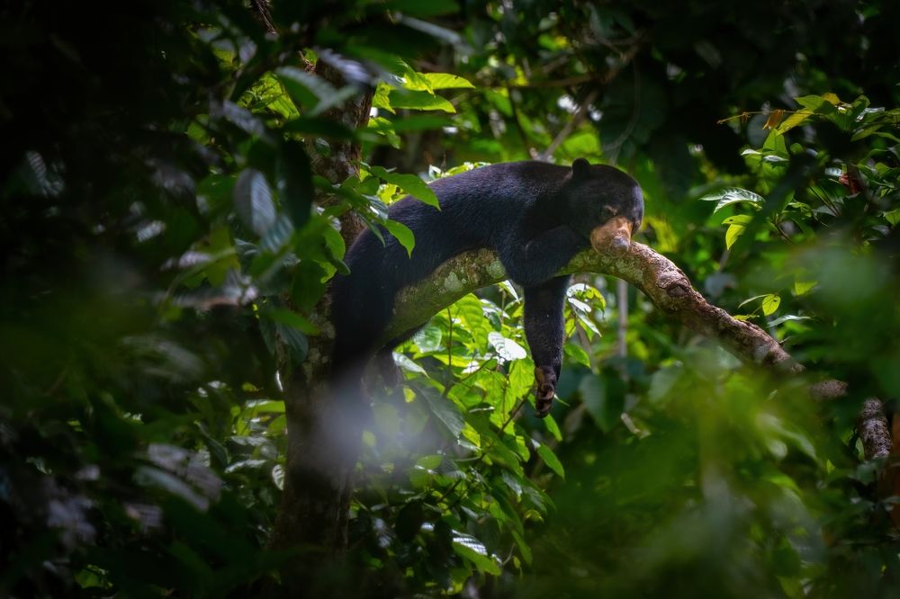 Фотография автора Kevin Andrews