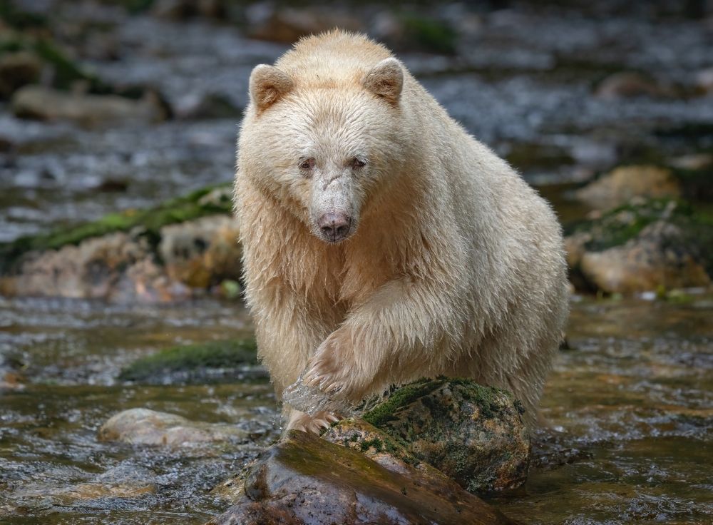 Фотография автора Kevin Andrews