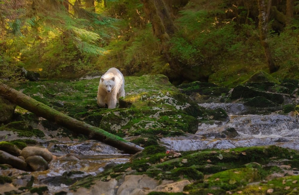 Фотография автора Kevin Andrews