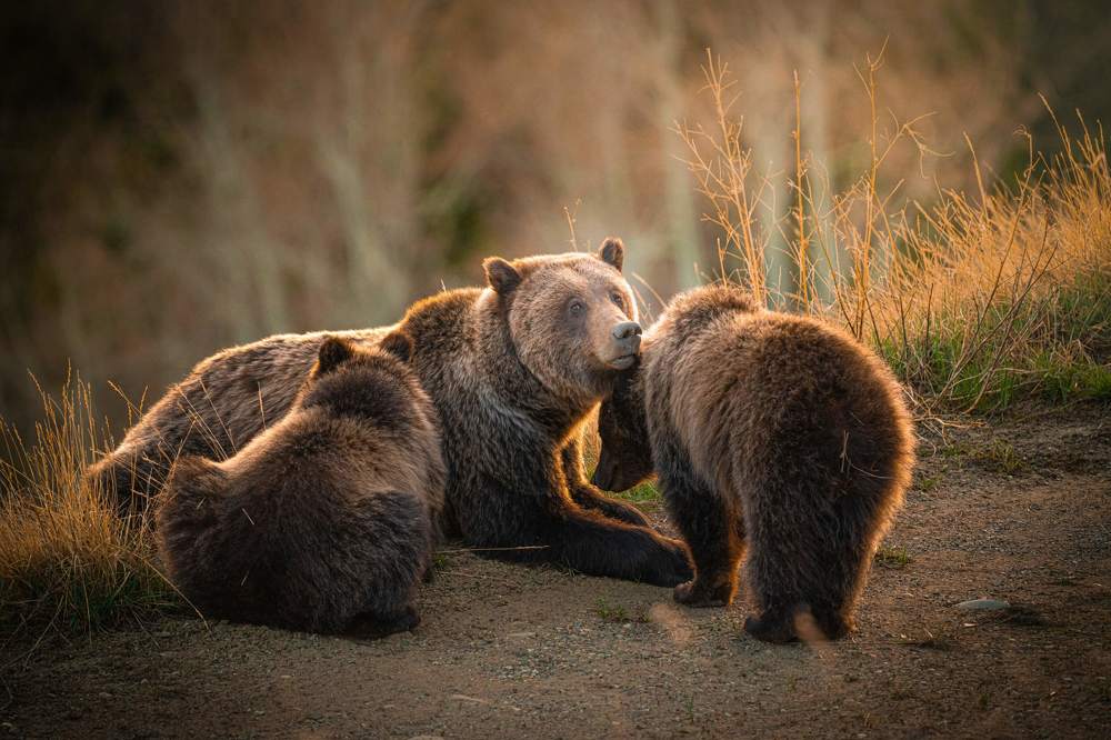 Photograph by Kevin Andrews