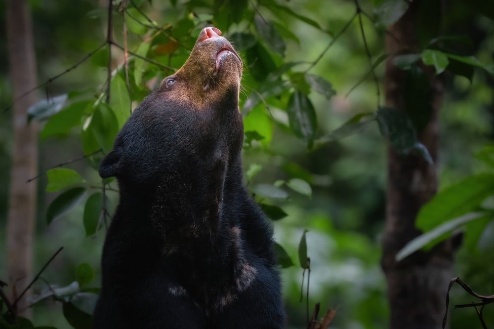 Фотография автора Kevin Andrews