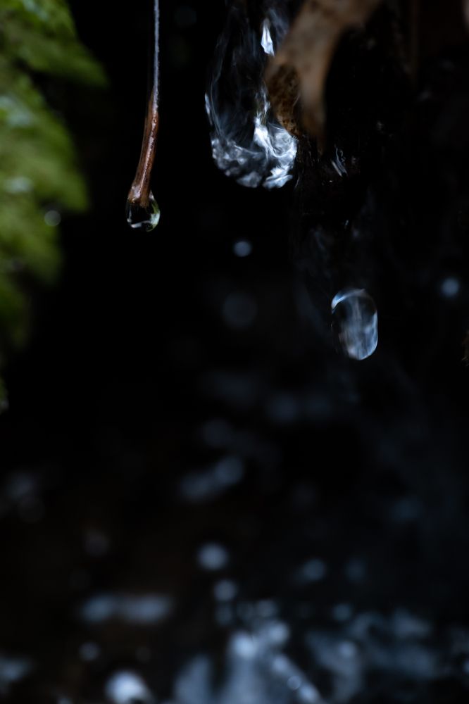 Photograph by Alexandre de Pommereau