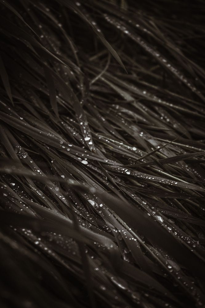 Photograph by Наталья