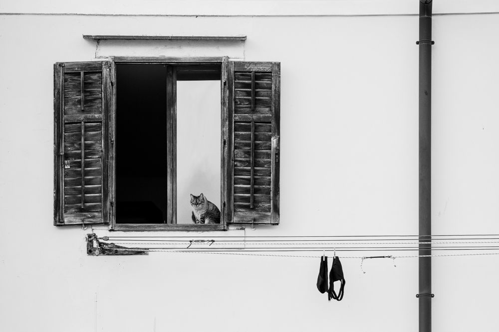 Photograph by Julija Lurina