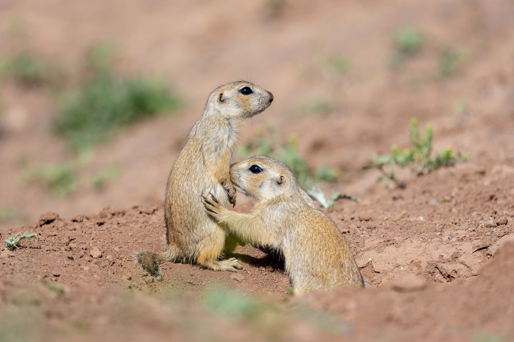 Photograph by Vida Shams