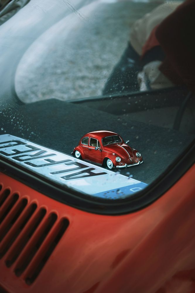 Photograph by Mohammad reza Falah