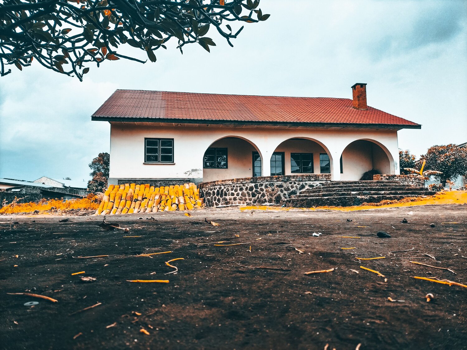 Photo #9114370