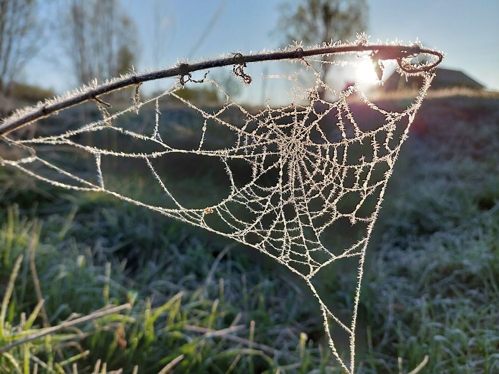 Photograph by Владимир Брагилевский
