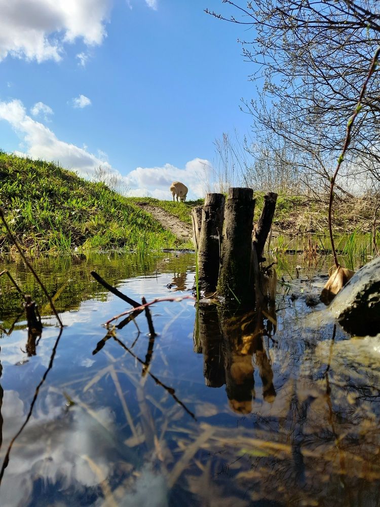 Photograph by Екатерина