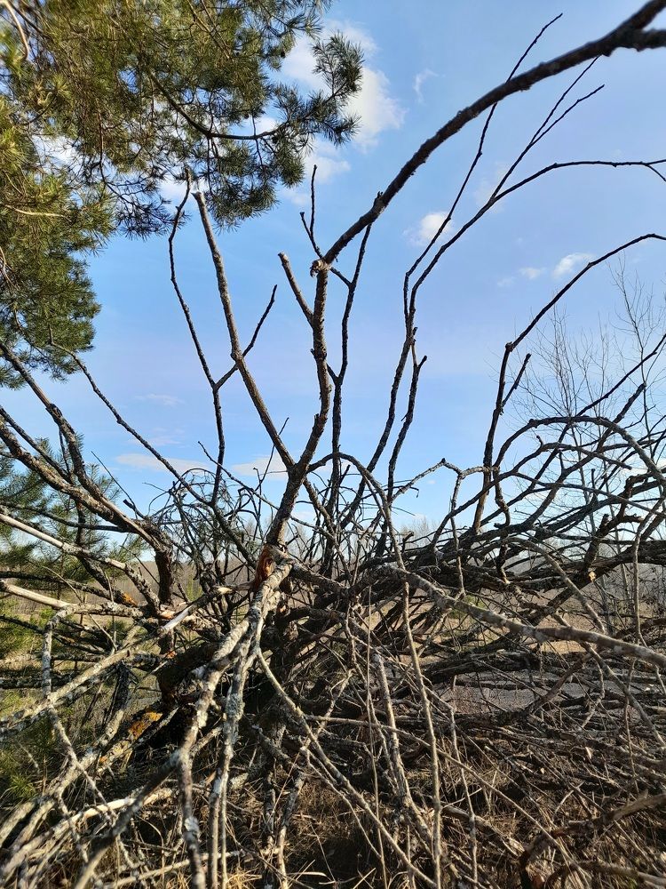 Photograph by Екатерина