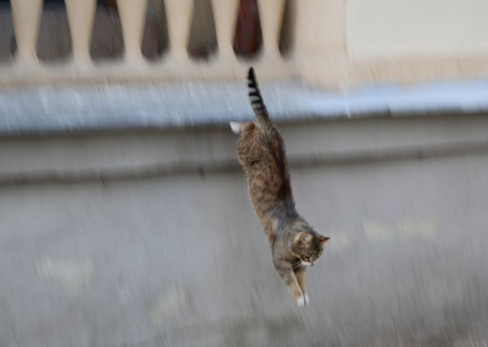 Photograph by Станислав Вершинин