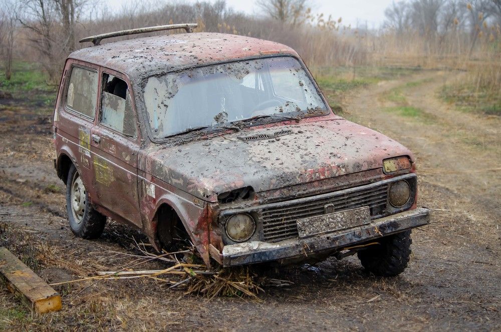 Photograph by Ирина Бандалет