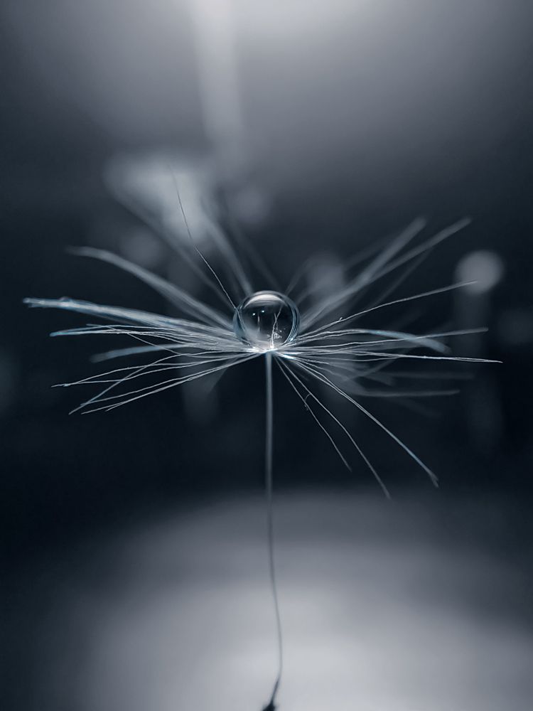 Фотография автора Наталья Алексеева