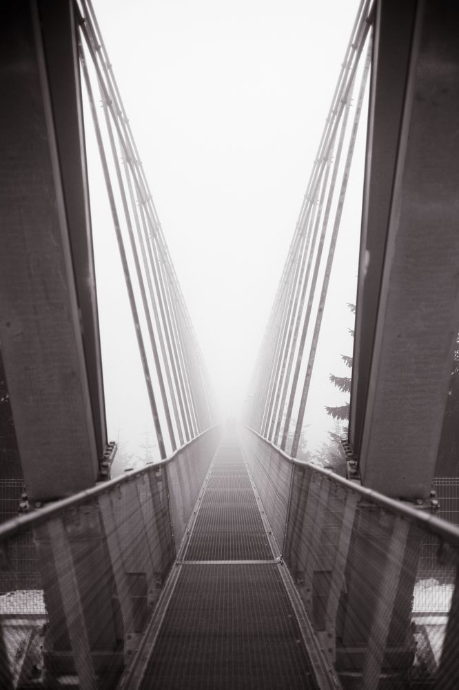 Photograph by Alena Vaganova