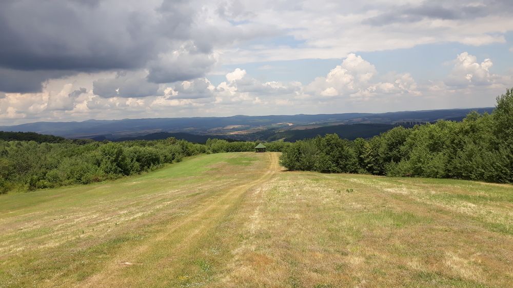 Photograph by SANDRA BOGDANOVIĆ