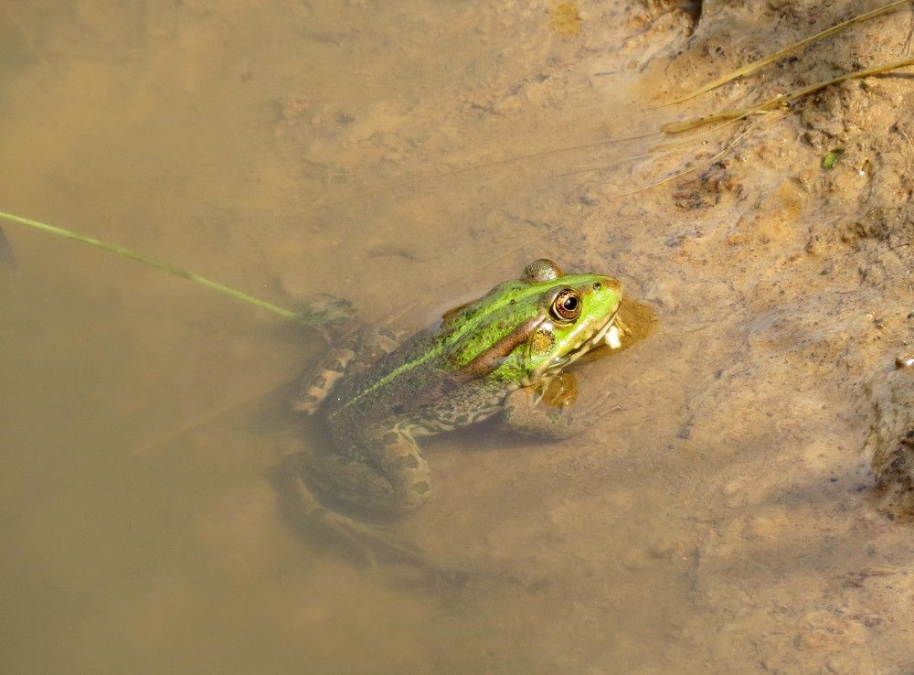 Photograph by Елена Казарина