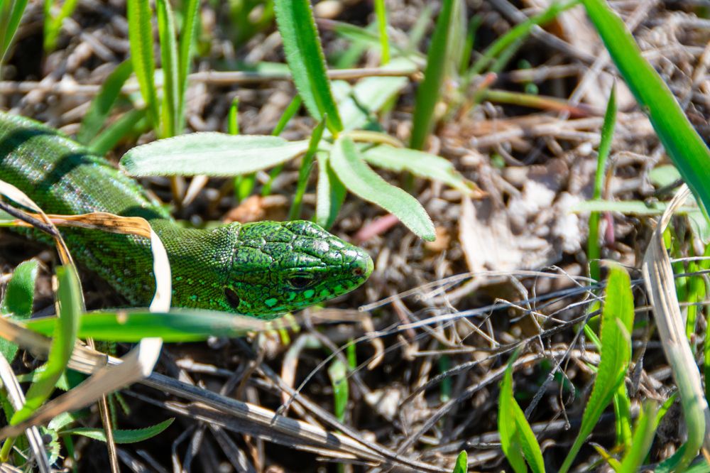 Photograph by Владимир Рогулькин