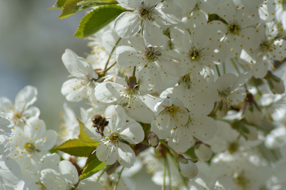 Фотография автора Виктор Стельник