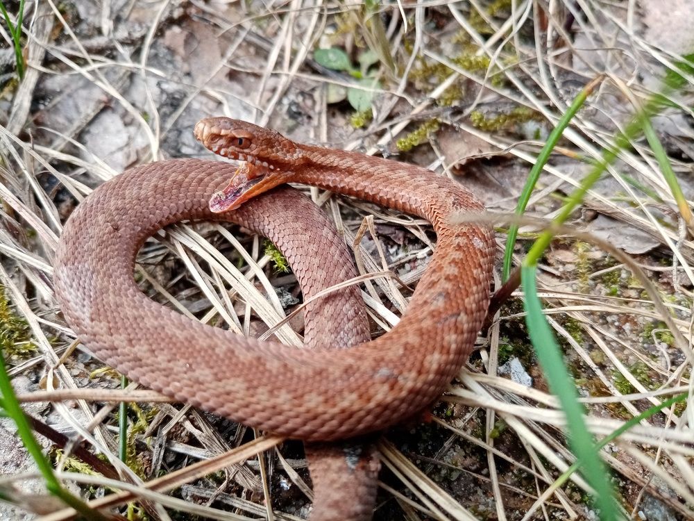 Photograph by Михаил Царикевич