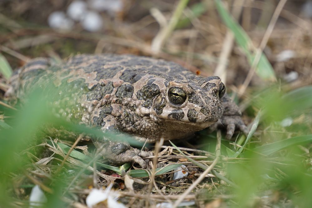 Photograph by George Catalin Serbu