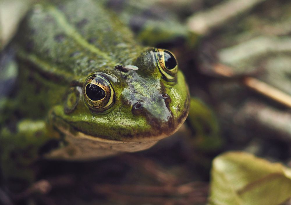 Photograph by Ирина Протченко