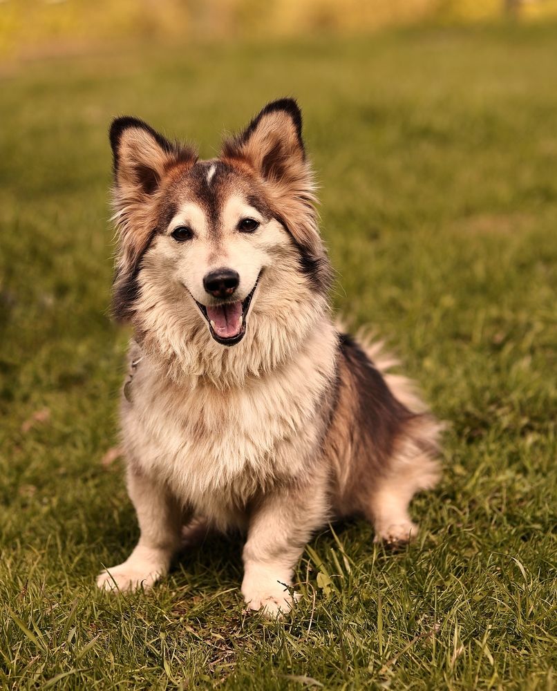 Photograph by Елена Одынец