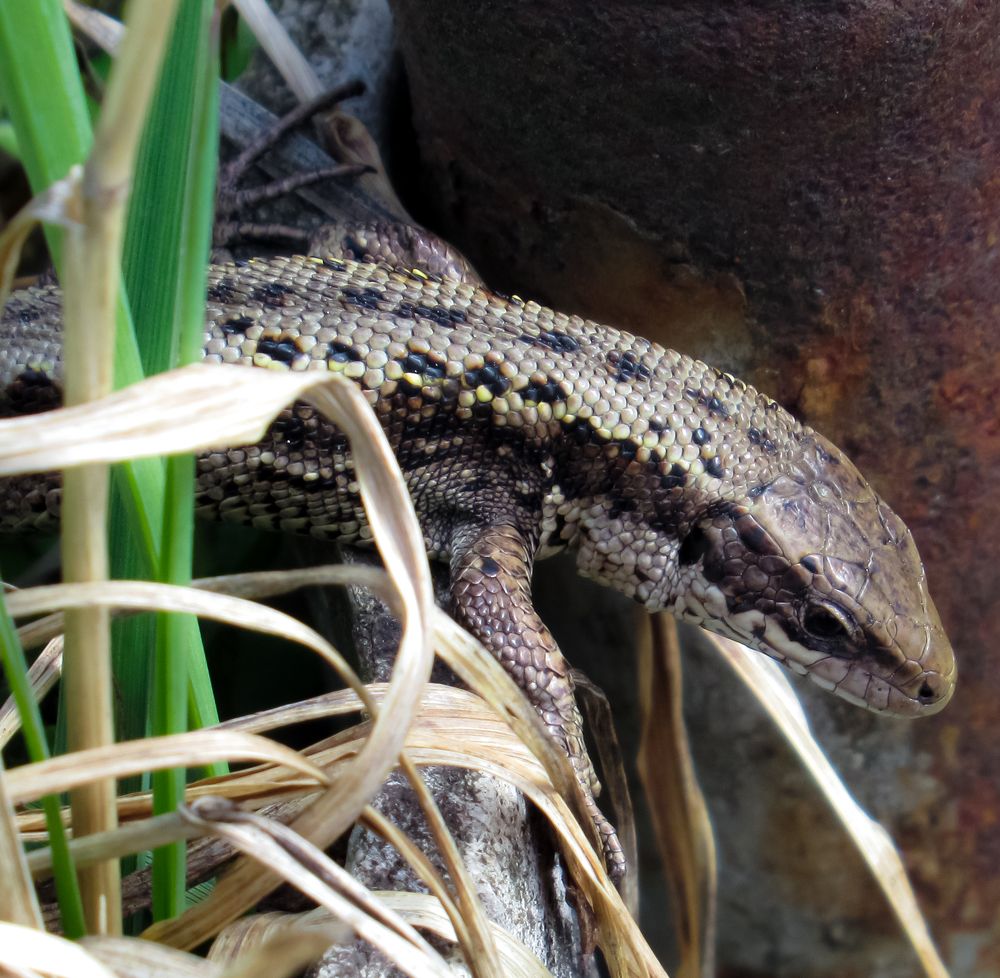 Photograph by Любовь Бусова