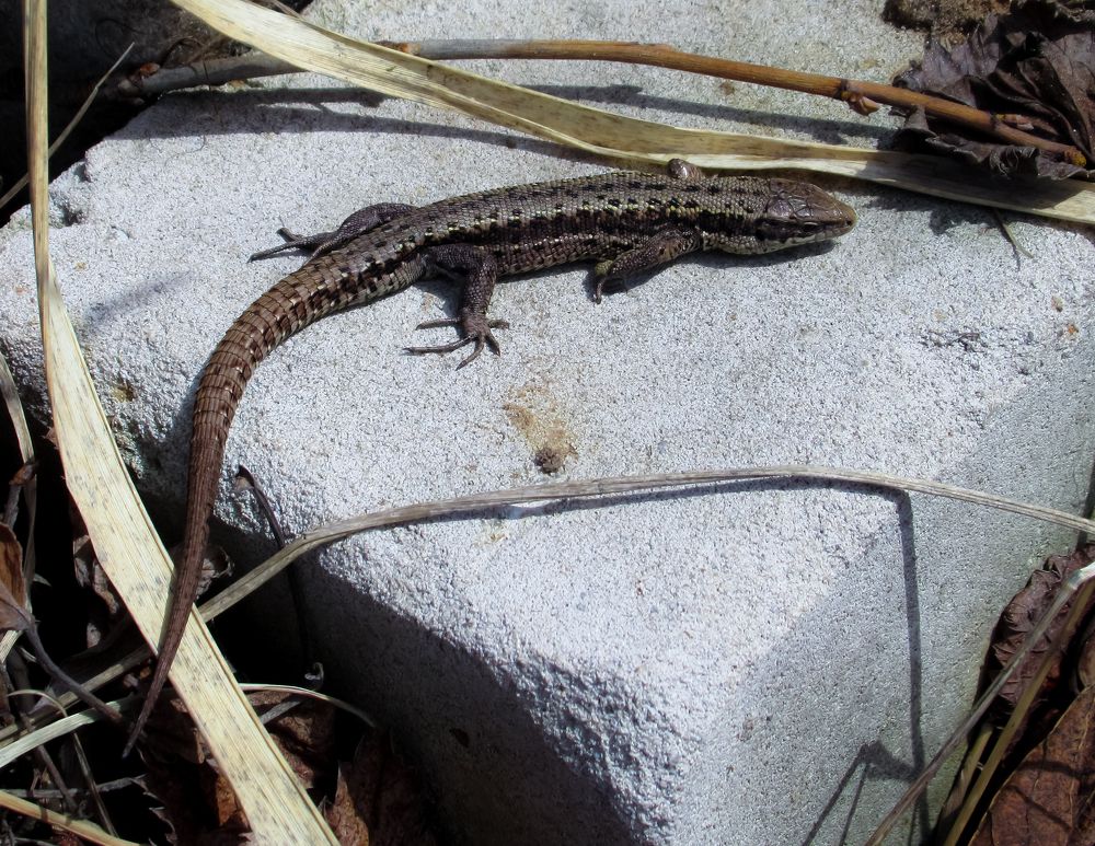 Photograph by Любовь Бусова