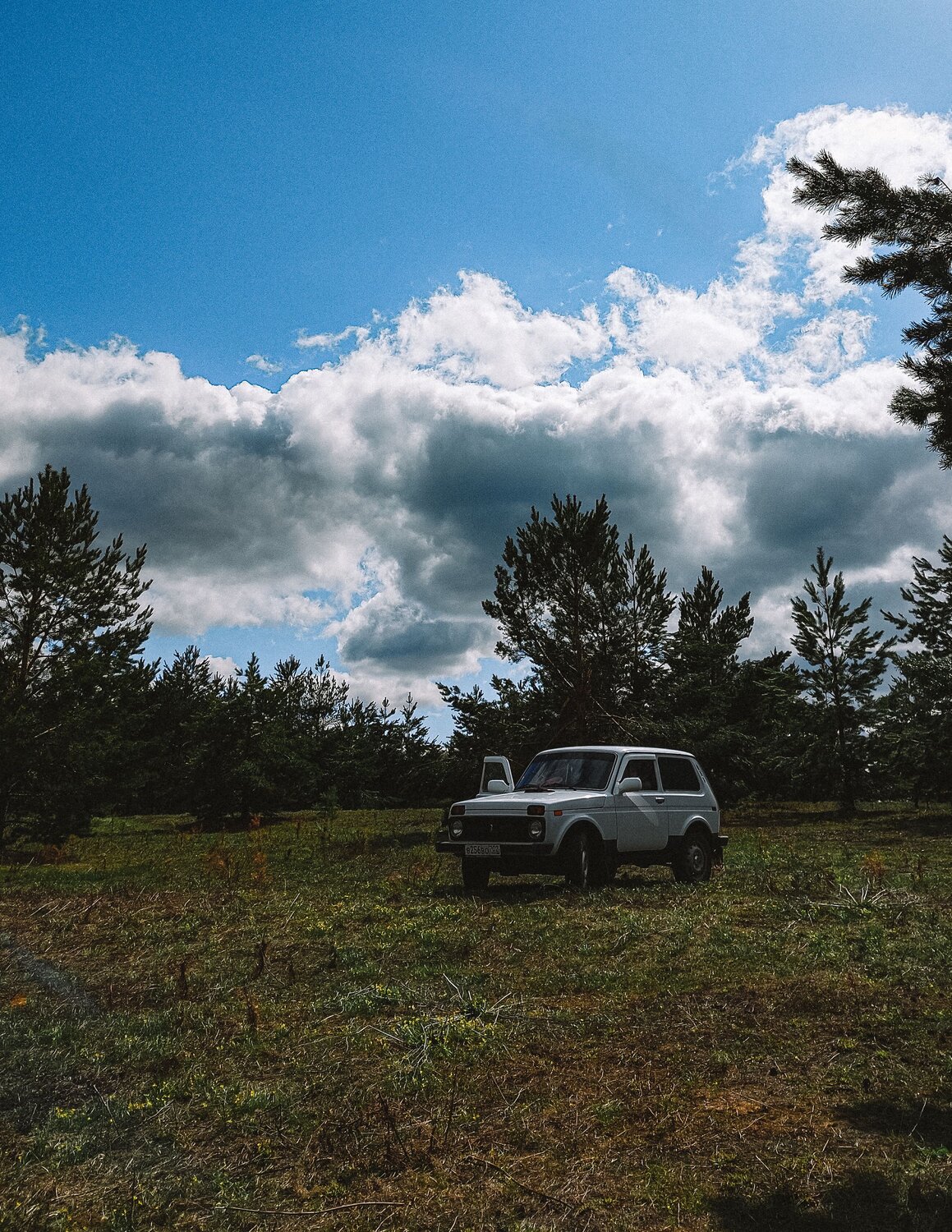 Photo #9115171