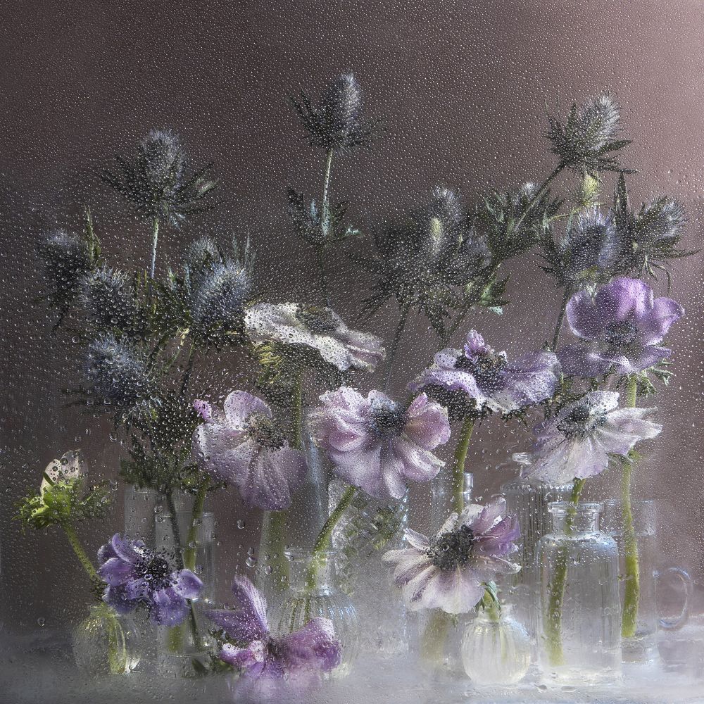 Фиолетовые анемоны и эрингиумы в стеклянных ёмкостях.