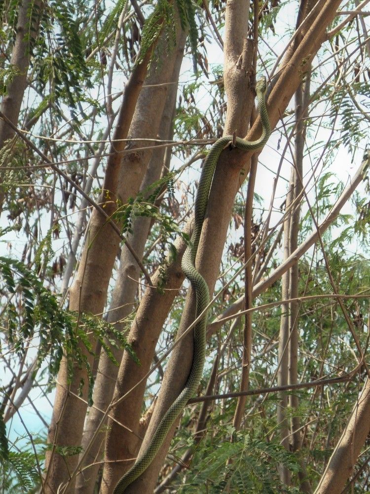 Photograph by Наталья Круглова