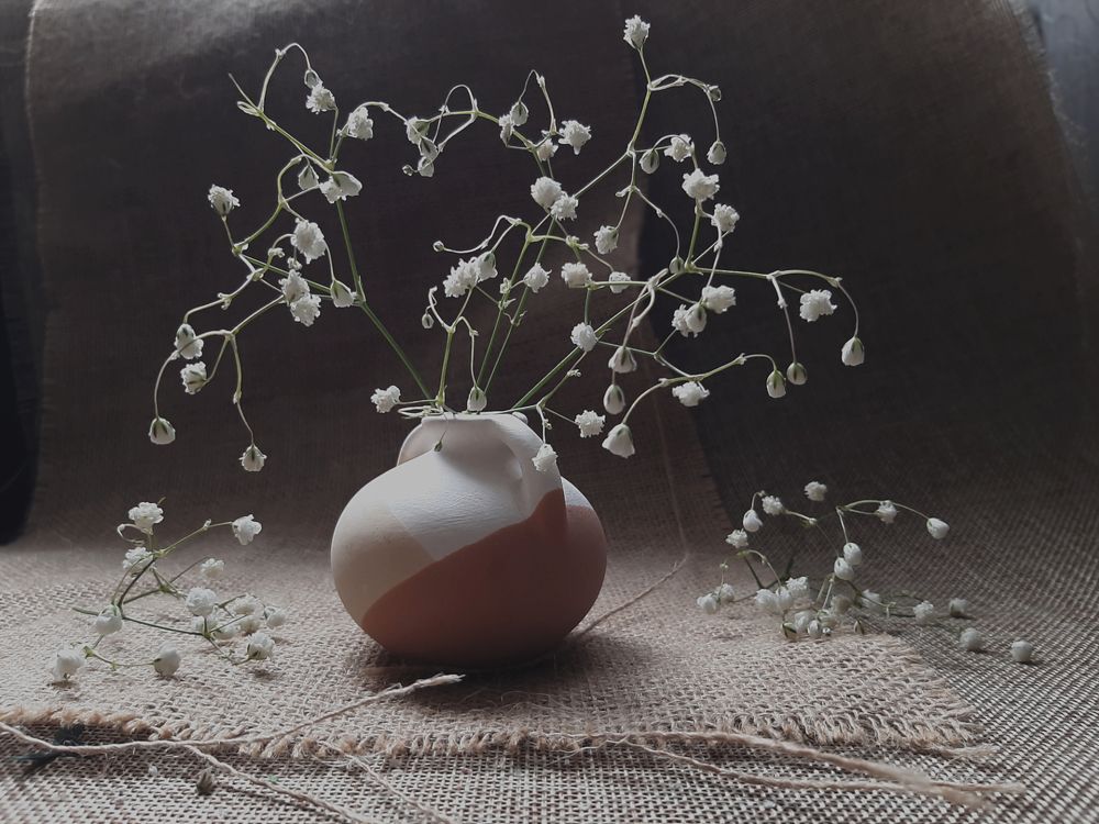 Натюрморт с  белой гипсофилой