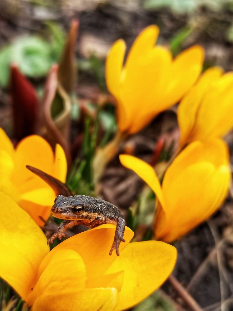 Photograph by Новикова Елена Сергеевна