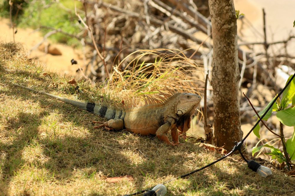 Фотография автора Jose Otero