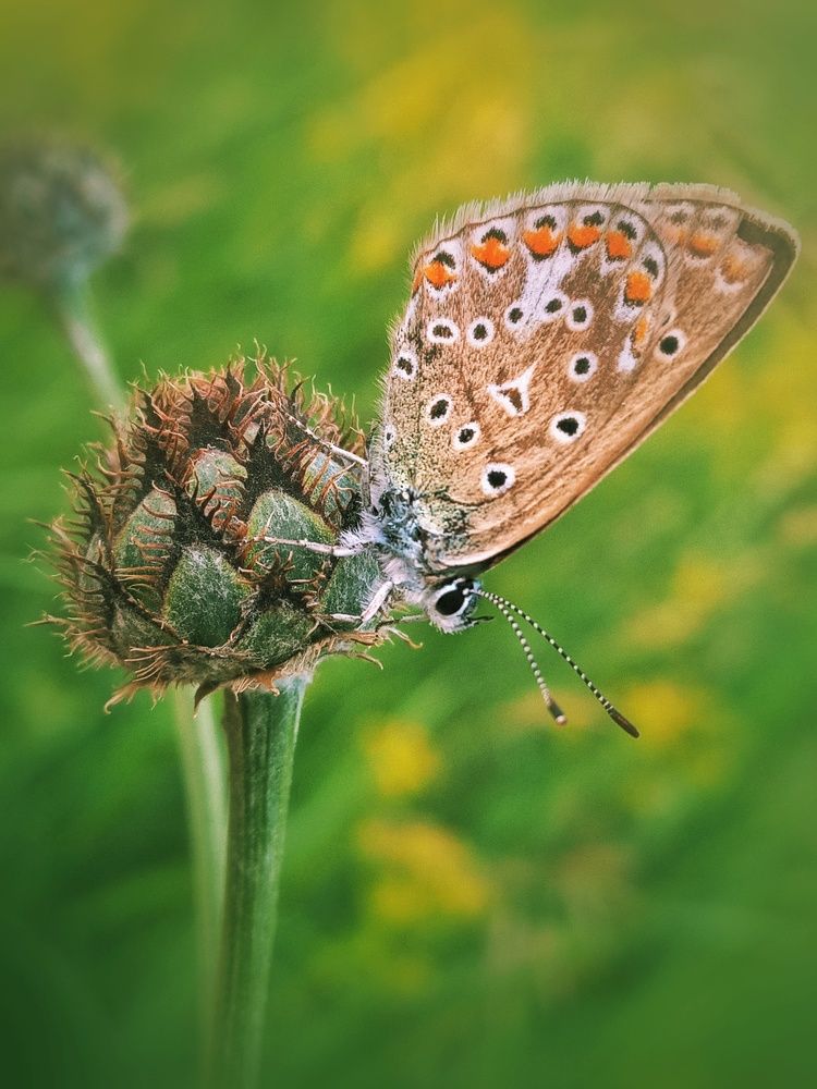 Photograph by Александра Королёва