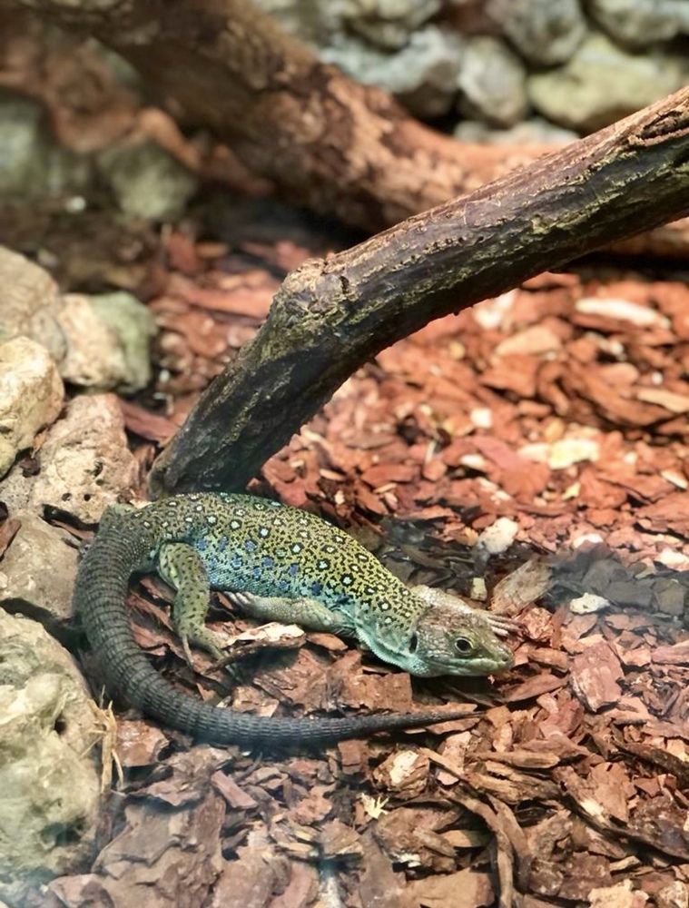 Photograph by Александра Акси