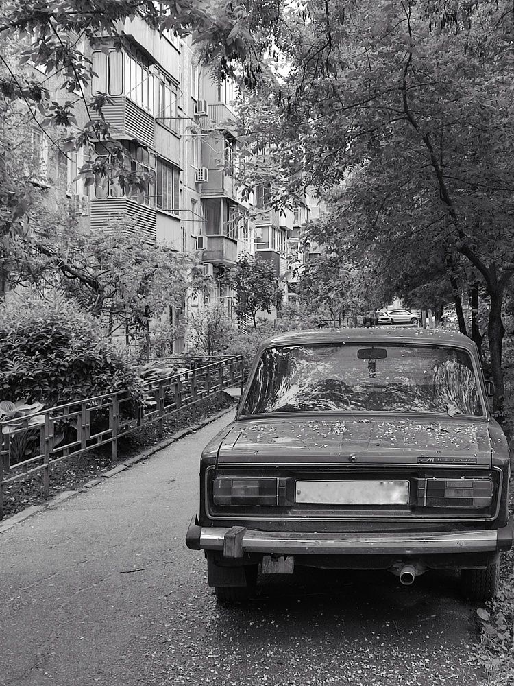 Photograph by Olga Gorokhova