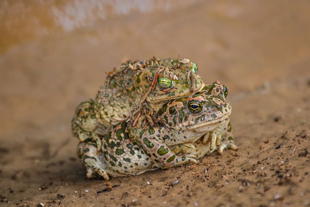 Photograph by Bachir Rabouh