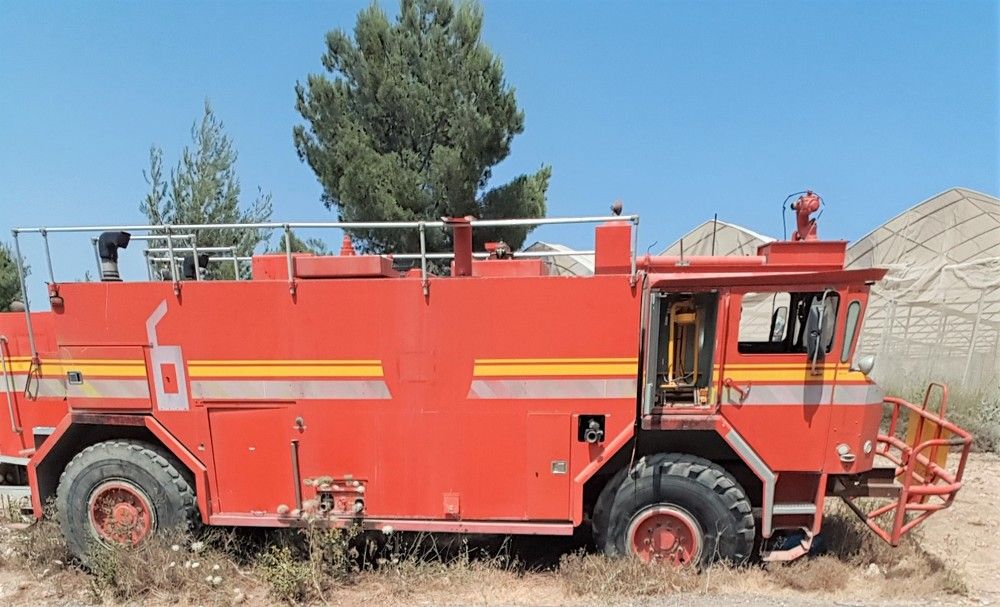 Фотография автора Ася Бабушкина