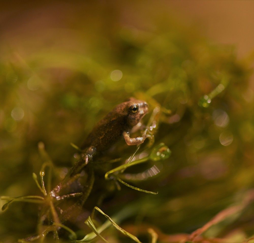 Фотография автора Ася Бабушкина