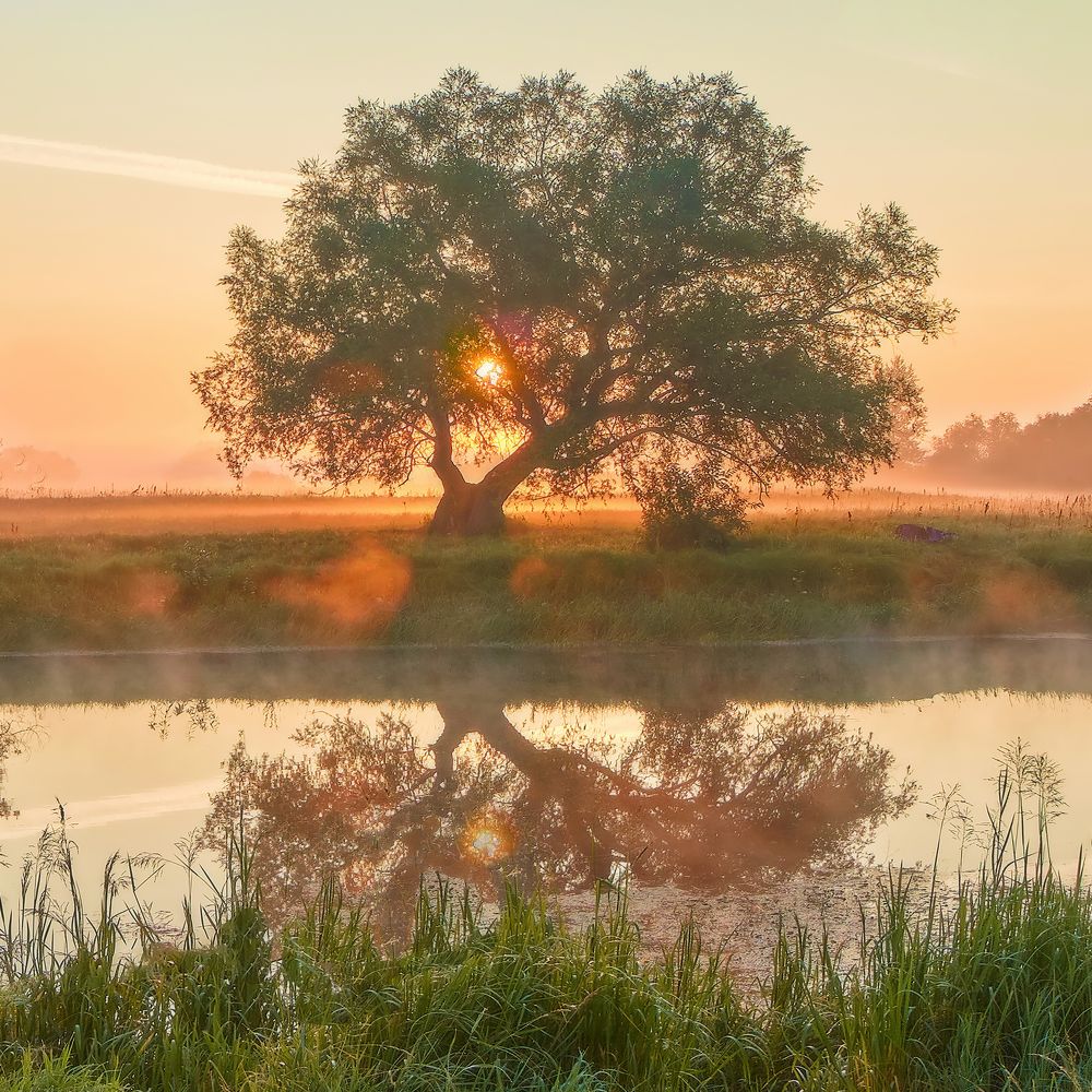 Утро на озере