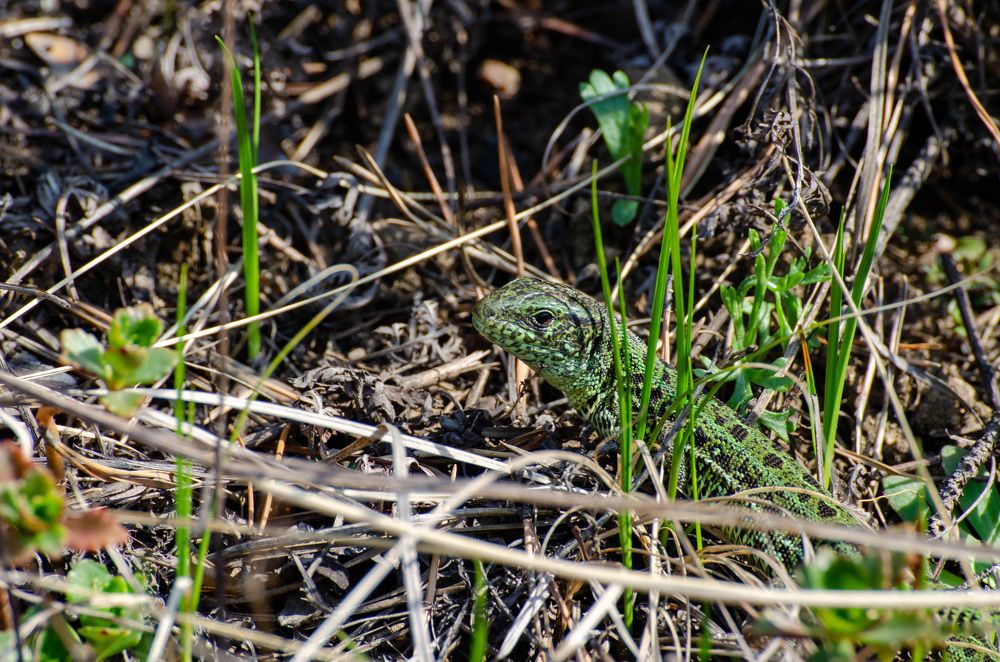 Photograph by Вадим Басов