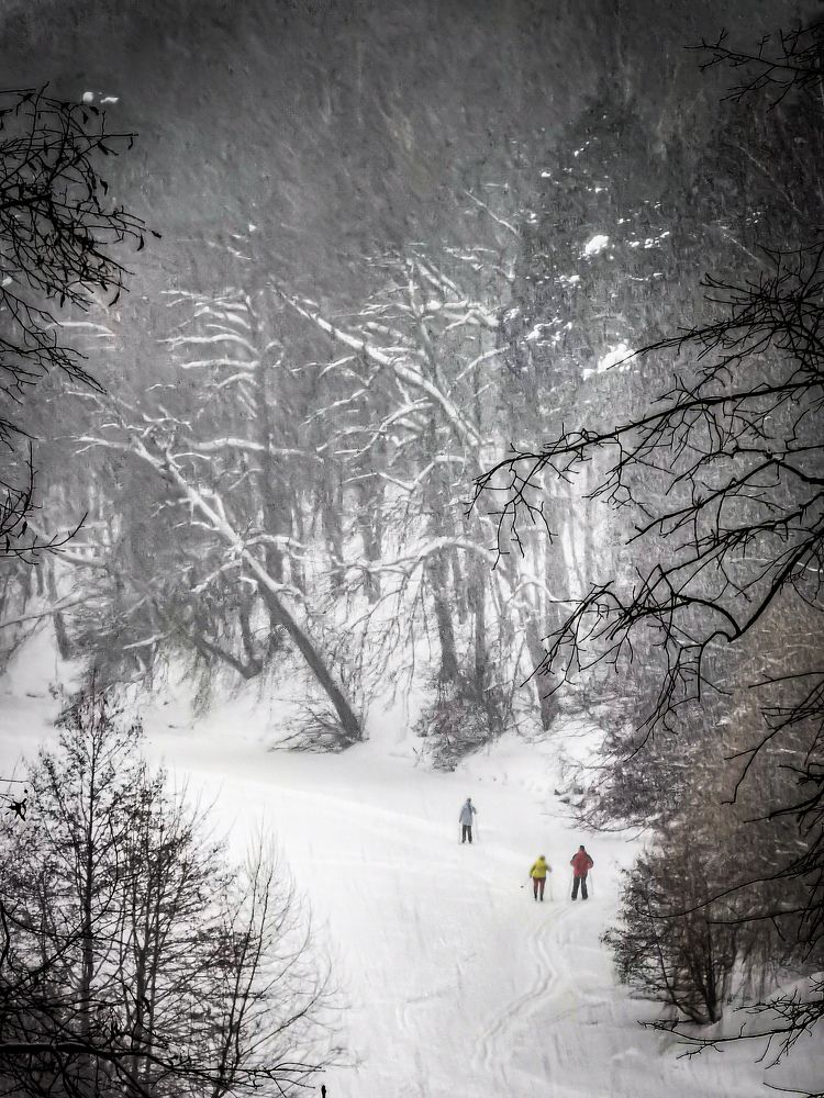 Photograph by Влад Апанасов