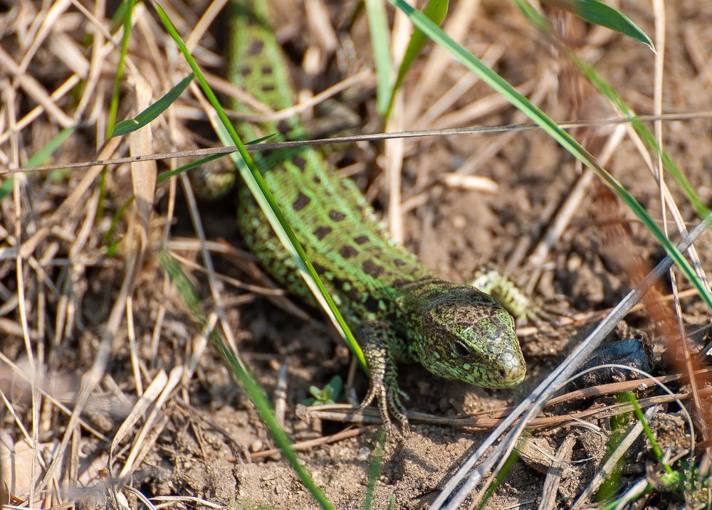 Photograph by Вадим Басов