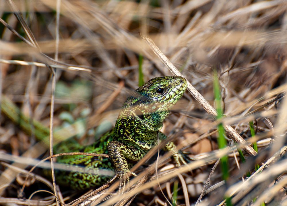 Photograph by Вадим Басов
