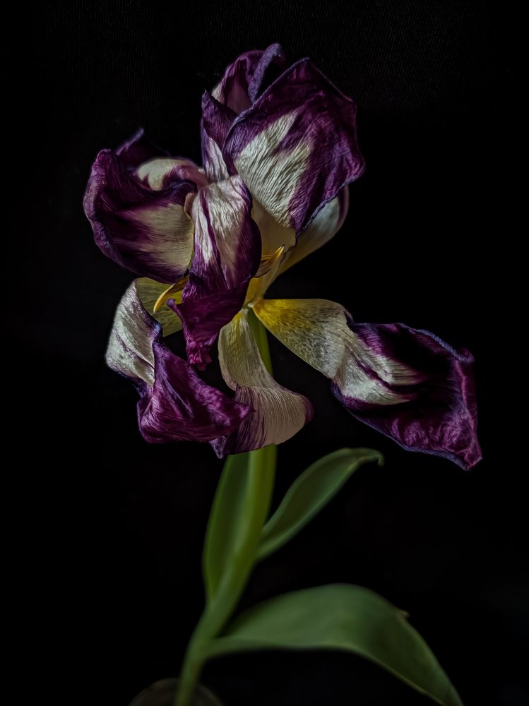 Photograph by Юлия Гашева
