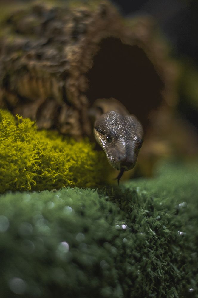 Photograph by Ксения Хачатурова